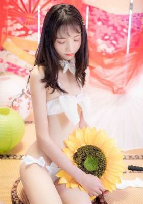 日韩路线导航查询_HD免费观看最新